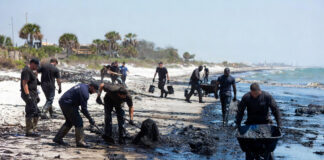 Autoridades mexicanas recolectan más de 800 toneladas de crudo tras derrame en el Golfo de México Autoridades mexicanas recolectan más de 800 toneladas de crudo tras derrame en el Golfo de México