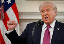 Trump niega haber invitado a Putin a cumbre del G20; “si viniera sería muy útil”, dice Trump niega haber invitado a Putin a cumbre del G20; "si viniera sería muy útil", dice