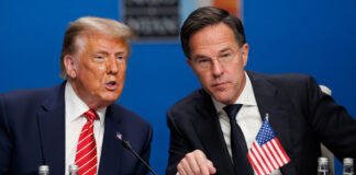 Trump discutirá posible salida de la OTAN; “le dio la espalda” a EEUU respecto a Irán Trump discutirá posible salida de la OTAN; "le dio la espalda" a EEUU respecto a Irán