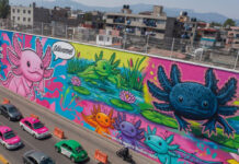 Brugada convierte CDMX en “ajolotitlán”; expertos ven falta de estrategia de imagen Brugada convierte CDMX en “ajolotitlán”; expertos ven falta de estrategia de imagen