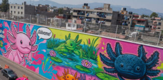 Brugada convierte CDMX en “ajolotitlán”; expertos ven falta de estrategia de imagen Brugada convierte CDMX en “ajolotitlán”; expertos ven falta de estrategia de imagen