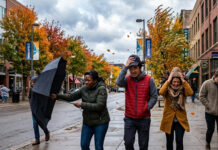 Se emite una alerta roja por riesgo de incendios forestales en 35 condados de Minnesota Se emite una alerta roja por riesgo de incendios forestales en 35 condados de Minnesota
