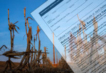 Minnesota fue lider en quiebras agrícolas en el primer trimestre; los agricultores están ansiosos Minnesota lideró el país en quiebras agrícolas en el primer trimestre; los agricultores están ansiosos