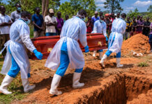 OMS eleva a 223 las muertes por ébola en el Congo y a 906 los “casos sospechosos” OMS eleva a 223 las "muertes sospechosas" por ébola en el Congo y a 906 los "casos sospechosos"