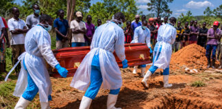 OMS eleva a 223 las muertes por ébola en el Congo y a 906 los “casos sospechosos” OMS eleva a 223 las "muertes sospechosas" por ébola en el Congo y a 906 los "casos sospechosos"