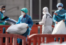 Riesgo bajo por brote de hantavirus en crucero; OMS vigila posibles nuevos contagios Riesgo bajo por brote de hantavirus en crucero; OMS vigila posibles nuevos contagios