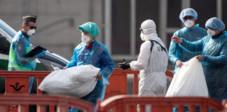 Riesgo bajo por brote de hantavirus en crucero; OMS vigila posibles nuevos contagios Riesgo bajo por brote de hantavirus en crucero; OMS vigila posibles nuevos contagios
