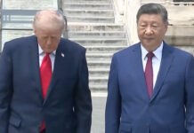 Trump dice que el presidente de China le ofreció ayuda para desbloquear Ormuz Trump dice que el presidente de China le ofreció ayuda para desbloquear Ormuz