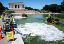 Tras millonaria remodelación, el estanque reflectante de Washington se vuelve a llenar de algas Tras millonaria remodelación, el estanque reflectante de Washington se vuelve a llenar de algas