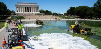 Tras millonaria remodelación, el estanque reflectante de Washington se vuelve a llenar de algas Tras millonaria remodelación, el estanque reflectante de Washington se vuelve a llenar de algas