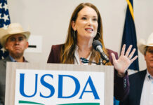 El USDA usa drones, perros y hongos en la lucha contra la mosca barrenadora El USDA usa drones, perros y hongos en la lucha contra la mosca barrenadora