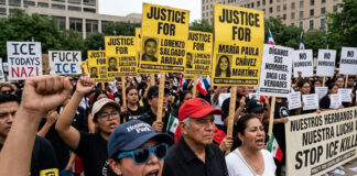 Tras muerte de dos migrantes, ordenan a ICE suspender detenciones vehiculares Tras muerte de dos migrantes, ordenan a ICE suspender detenciones vehiculares