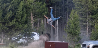 Bisonte lanza por los aires a hombre en Yellowstone; la víctima sufrió heridas graves Bisonte lanza por los aires a hombre en Yellowstone; la víctima sufrió heridas graves