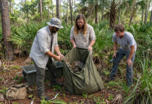 Cientos de cazadores capturan pitones en Florida para frenar expansión de la especie invasora Cientos de cazadores capturan pitones en Florida para frenar expansión de la especie invasora