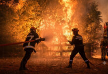 Incendios forestales avanzan sin control en áreas de Francia y España Incendios forestales avanzan sin control en áreas de Francia y España