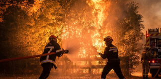 Incendios forestales avanzan sin control en áreas de Francia y España Incendios forestales avanzan sin control en áreas de Francia y España