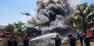 Incendios arrasan decenas de miles de hectáreas en Europa; calor extremo atiza el fuego Incendios arrasan decenas de miles de hectáreas en Europa; calor extremo atiza el fuego