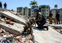 OMS teme aparición de brotes de enfermedades tras terremotos en Venezuela OMS teme aparición de brotes de enfermedades tras terremotos en Venezuela