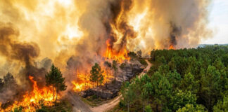 Calentamiento global aumenta riesgo de desastres naturales como el de Nepal y Europa Calentamiento global aumenta riesgo de desastres naturales como el de Nepal y Europa