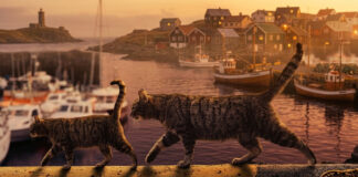 Llevan 5 gatos a isla remota por plaga de ratones; ahora hay riesgo de extinción de especies Llevan 5 gatos a isla remota por plaga de ratones; ahora hay riesgo de extinción de especies