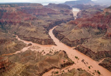 Inundación repentina golpea el Gran Cañón; hay un muerto y 14 posibles desaparecidos Inundación repentina golpea el Gran Cañón; hay un muerto y 14 posibles desaparecidos