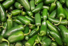 EEUU reporta 345 casos de salmonela ligado a jalapeños de México EEUU reporta 345 casos de salmonela ligado a jalapeños de México