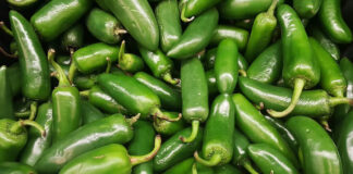 EEUU reporta 345 casos de salmonela ligado a jalapeños de México EEUU reporta 345 casos de salmonela ligado a jalapeños de México