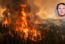 Detienen a acusado de provocar uno de los mayores incendios en Estados Unidos Detienen a acusado de provocar uno de los mayores incendios en Estados Unidos