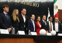 Expertos, exjugadores y senadores ven apoyan el ascenso y descenso en el futbol mexicano Expertos, exjugadores y senadores ven apoyan el ascenso y descenso en el futbol mexicano