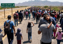 UNICEF: 2 millones de niños requieren protección en México UNICEF: 2 millones de niños requieren protección en México