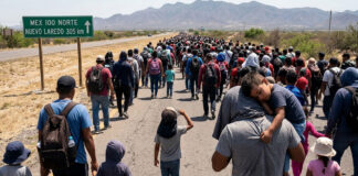 UNICEF: 2 millones de niños requieren protección en México UNICEF: 2 millones de niños requieren protección en México