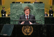 Milei dice que la ONU es una “organización inútil” por alimentar a una “casta de parásitos” Milei dice que la ONU es una "organización inútil" por alimentar a una "casta de parásitos"