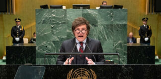 Milei dice que la ONU es una “organización inútil” por alimentar a una “casta de parásitos” Milei dice que la ONU es una "organización inútil" por alimentar a una "casta de parásitos"