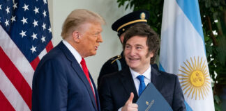 Milei destaca dichos de Trump sobre islas Malvinas; es una “causa sagrada”, afirma Milei destaca dichos de Trump sobre islas Malvinas; es una "causa sagrada", afirma