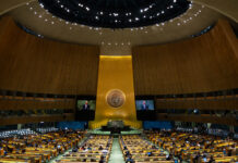 La ONU aprueba que Palestina participe en Asamblea General por videoconferencia La ONU aprueba que Palestina participe en Asamblea General por videoconferencia