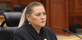 Crisis en el INE: El ‘Caso Taddei’ sacude la legitimidad del arbitraje electoral en México Crisis en el INE: El ‘Caso Taddei’ sacude la legitimidad del arbitraje electoral en México