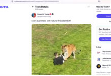 Trump desata indignación tras publicar video de ataque mortal de un tigre en Reino Unido Trump desata indignación tras publicar video de ataque mortal de un tigre en Reino Unido