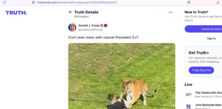 Trump desata indignación tras publicar video de ataque mortal de un tigre en Reino Unido Trump desata indignación tras publicar video de ataque mortal de un tigre en Reino Unido